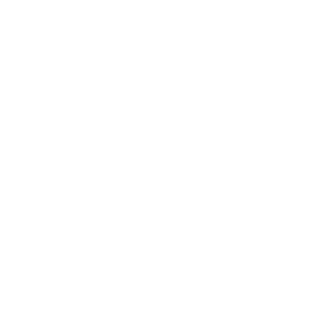 magic shield transparent