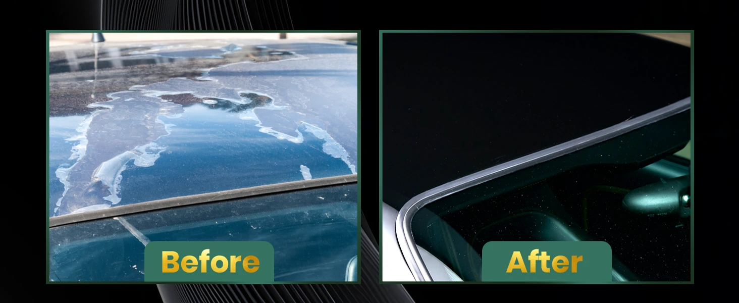 Dull paint restored with One Step Polish
